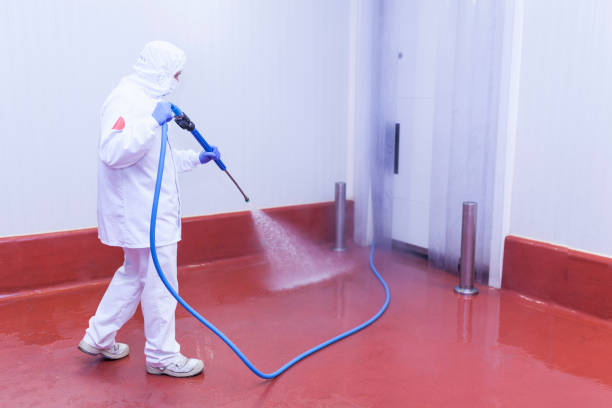 Best Oil Spill Cleanup  in Rainbow, CA
